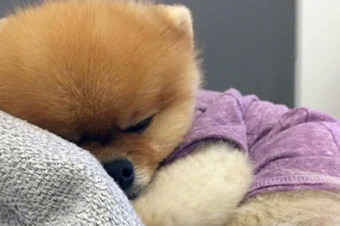 渴望得到肯定作文600字