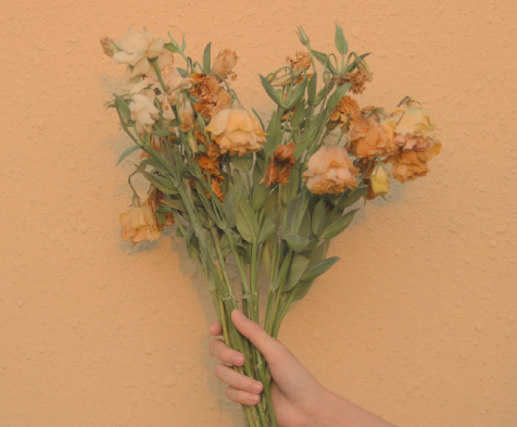 以诚信为话题的作文800字