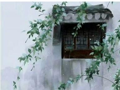 过年的高一见闻作文