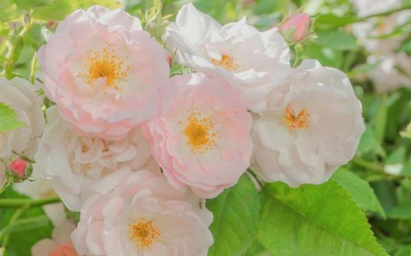 用雨水形容心情不好的说说