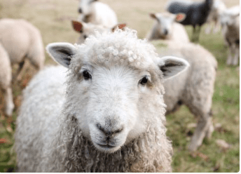 2019吃泡面说说适合发朋友圈形容美食诱人的幽默句子大全