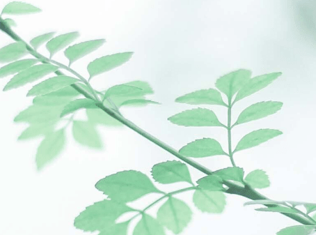 恶搞群网名