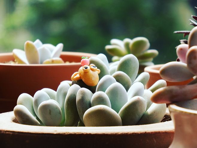 微信网名失望的名字--[脱了衣服打叫情调]